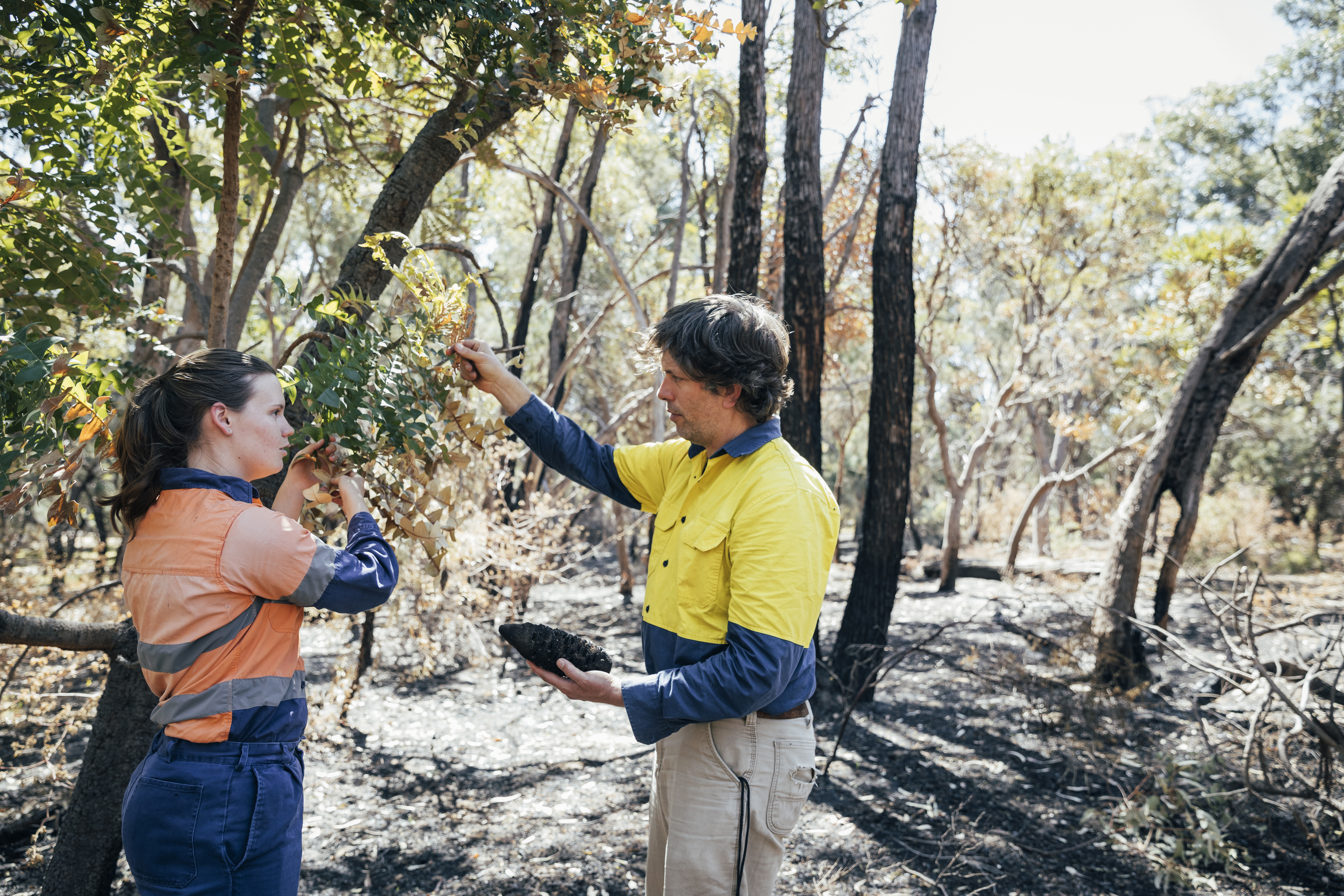 Closing the insights gap for council's outdoor workers